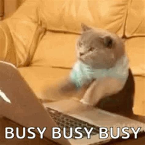 busy gif|busy at work gif funny.